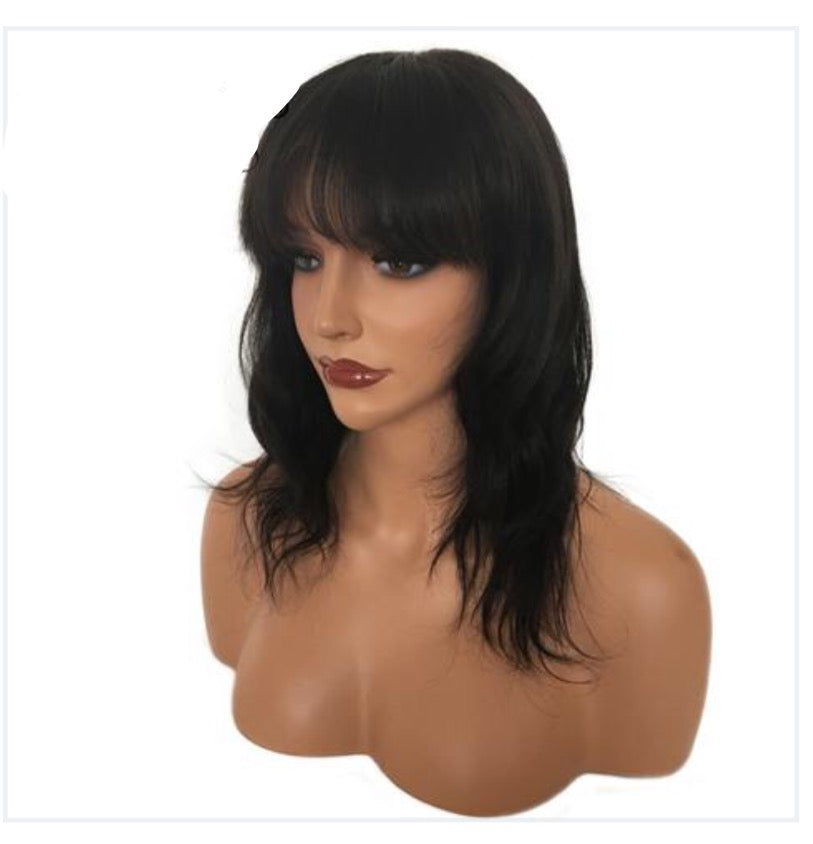 Brazilian Glueless Lace Front Human Hair Wig