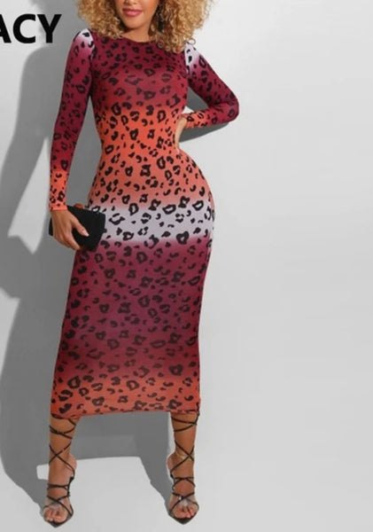 Multi Color Leopard Print Bodycon  Maxi Dress