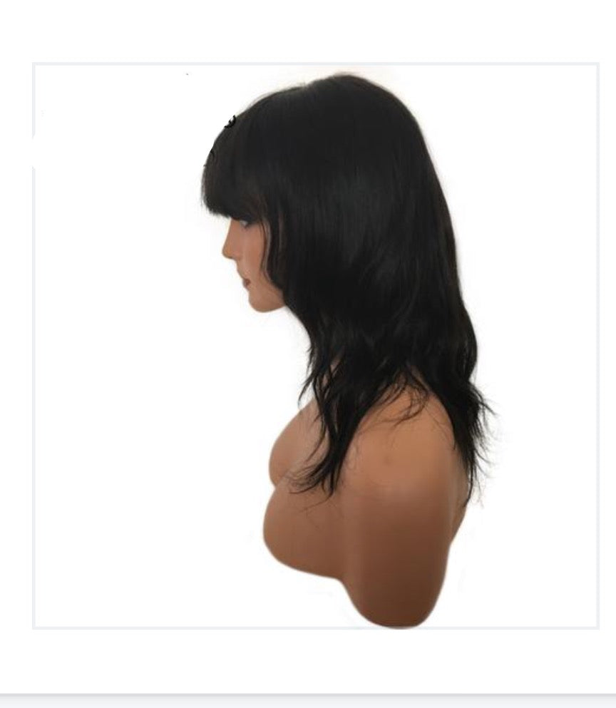 Brazilian Glueless Lace Front Human Hair Wig