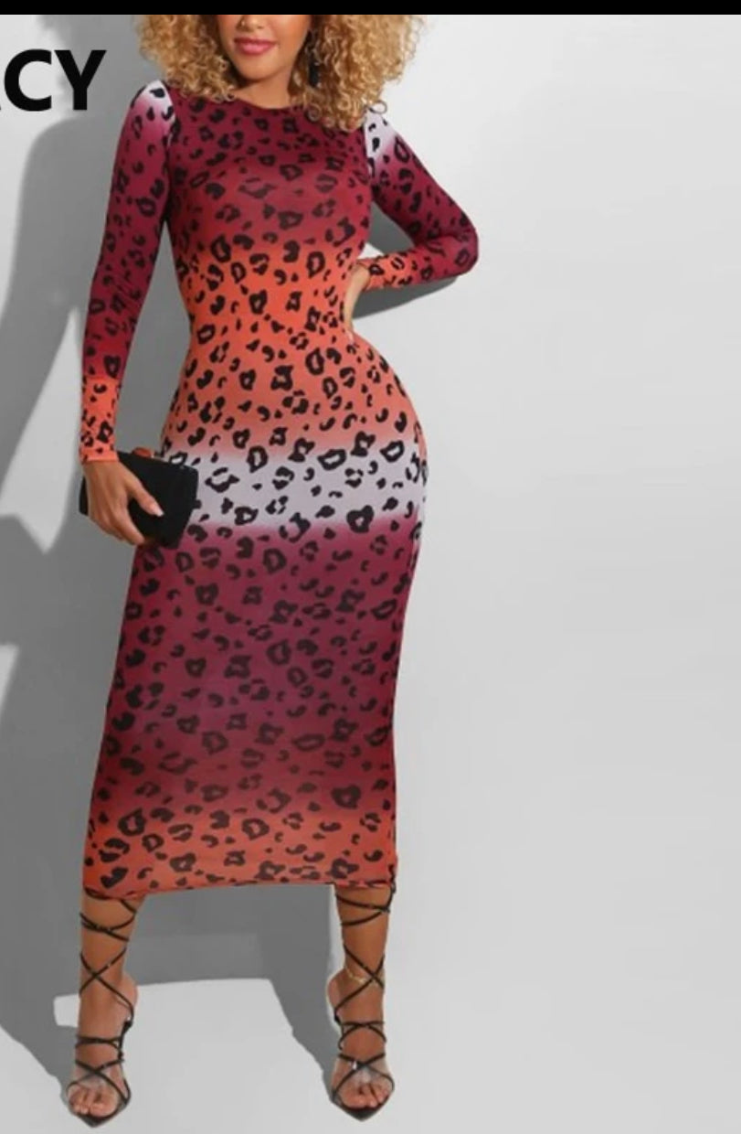 Multi Color Leopard Print Bodycon  Maxi Dress